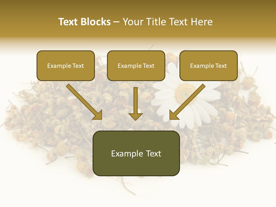 Dried Chamomile Tea Isolated On White Background PowerPoint Template