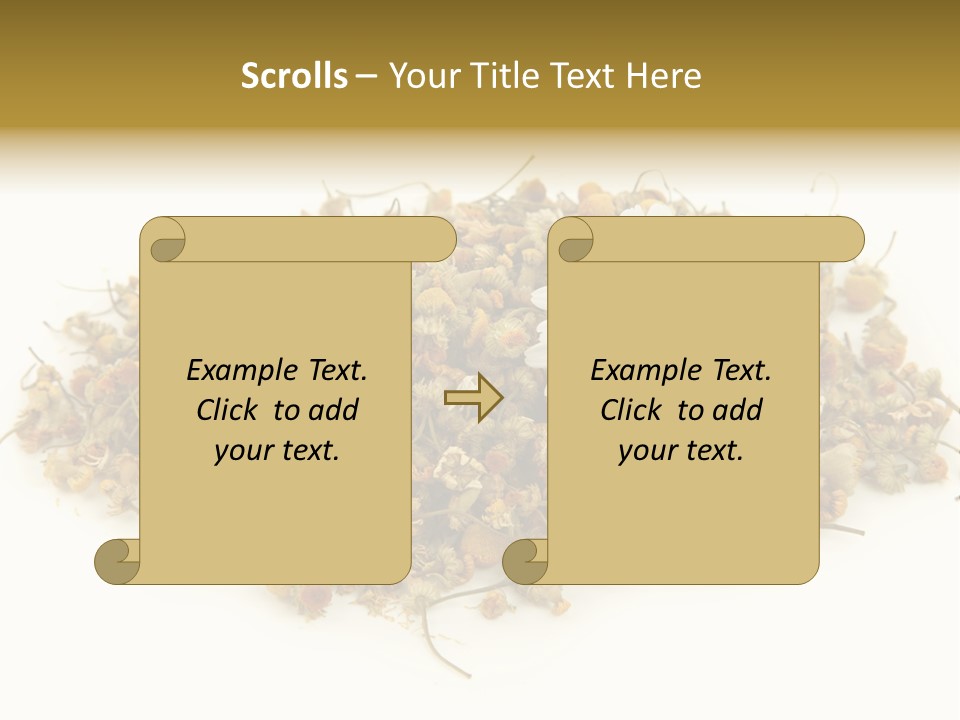 Dried Chamomile Tea Isolated On White Background PowerPoint Template