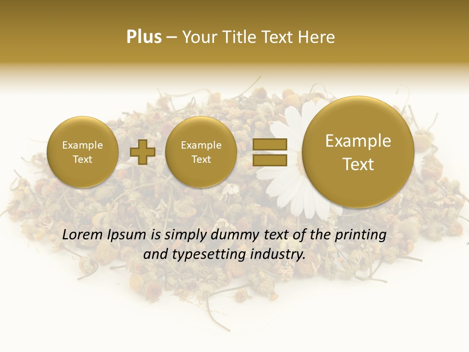 Dried Chamomile Tea Isolated On White Background PowerPoint Template