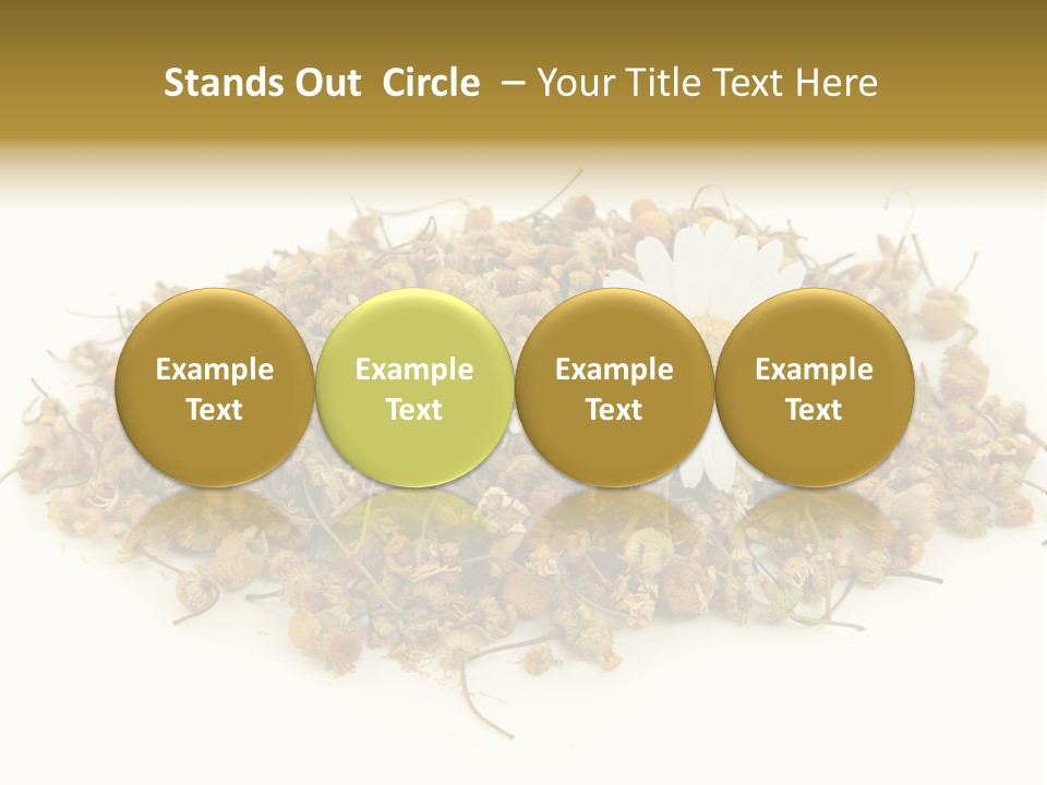 Dried Chamomile Tea Isolated On White Background PowerPoint Template