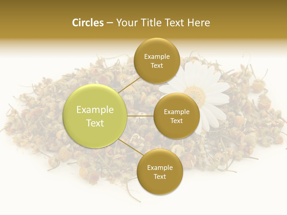 Dried Chamomile Tea Isolated On White Background PowerPoint Template