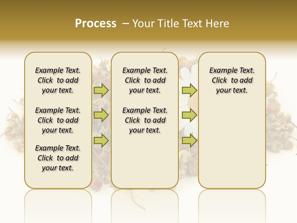 Dried Chamomile Tea Isolated On White Background PowerPoint Template