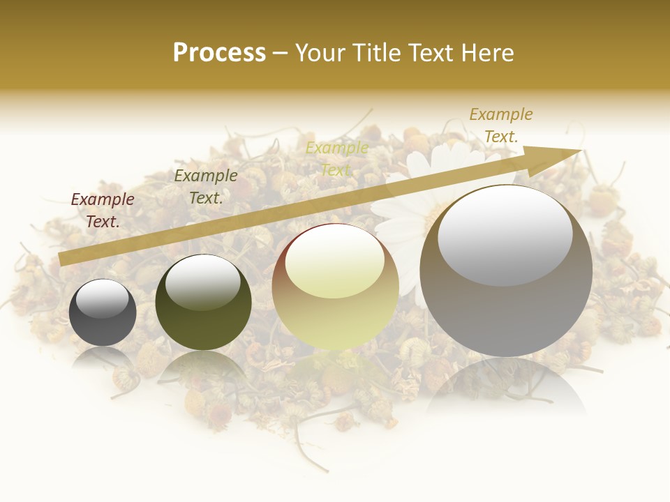 Dried Chamomile Tea Isolated On White Background PowerPoint Template