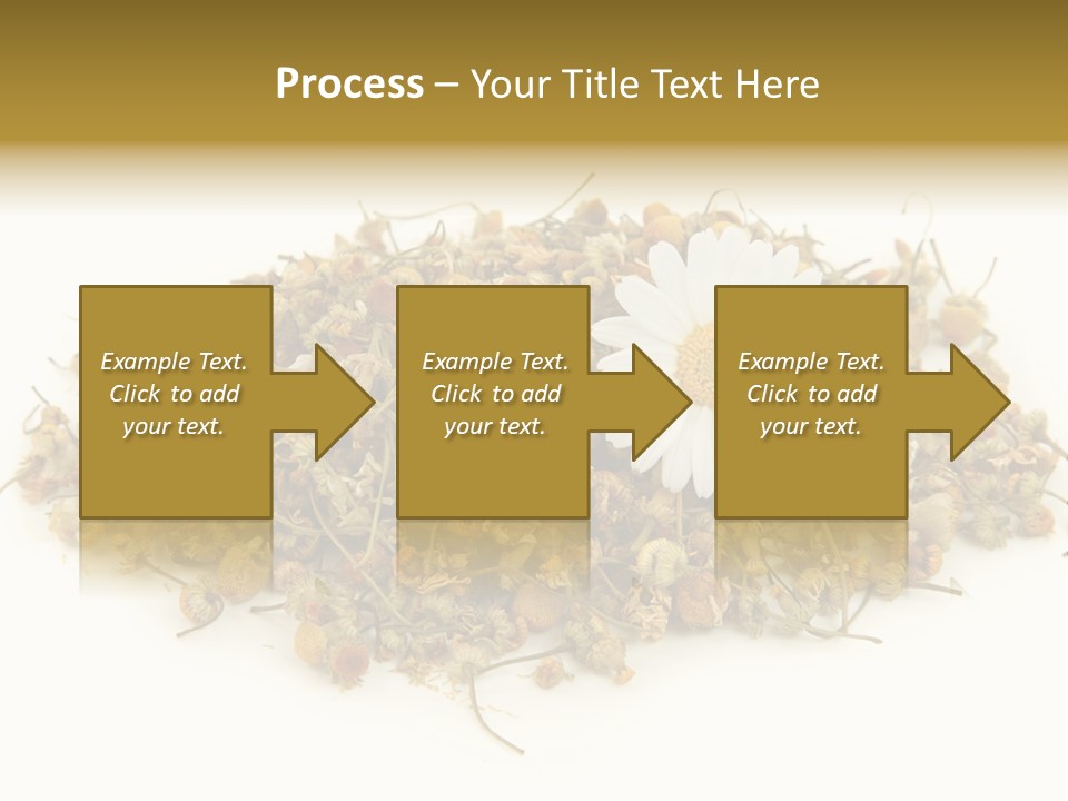 Dried Chamomile Tea Isolated On White Background PowerPoint Template