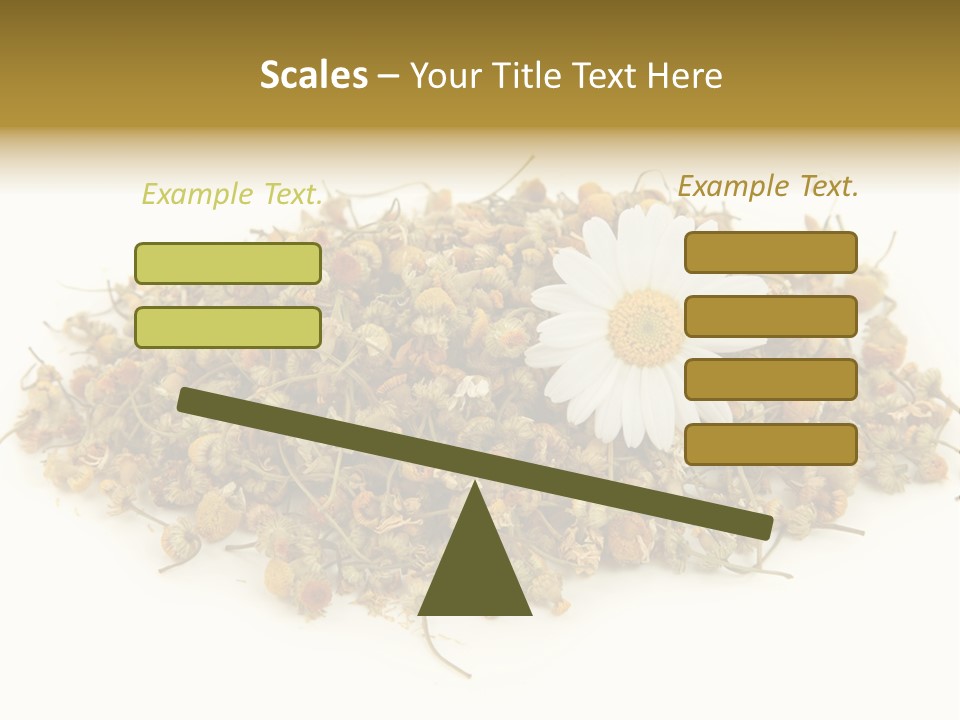 Dried Chamomile Tea Isolated On White Background PowerPoint Template