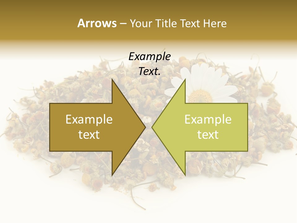 Dried Chamomile Tea Isolated On White Background PowerPoint Template