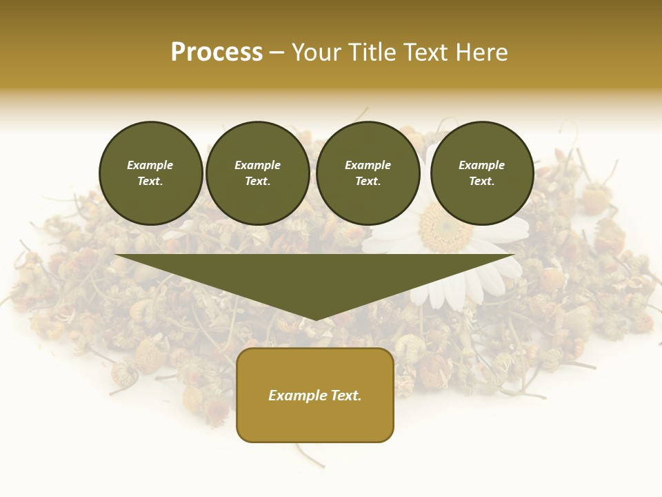 Dried Chamomile Tea Isolated On White Background PowerPoint Template