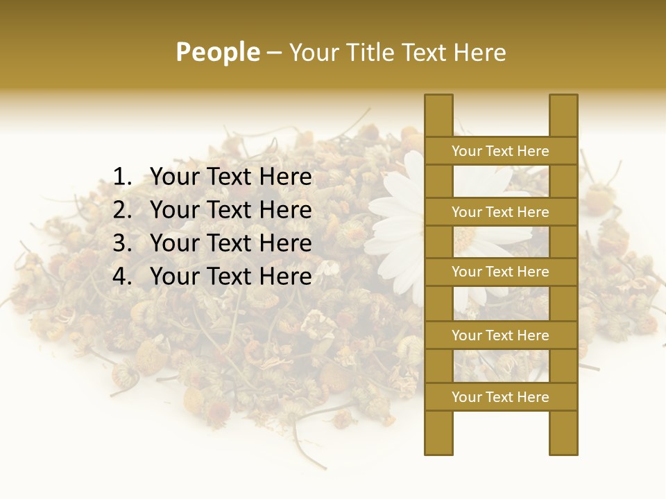 Dried Chamomile Tea Isolated On White Background PowerPoint Template