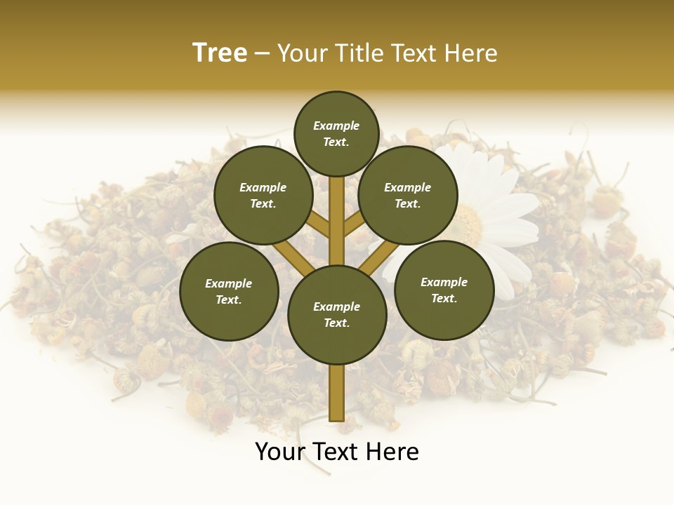 Dried Chamomile Tea Isolated On White Background PowerPoint Template