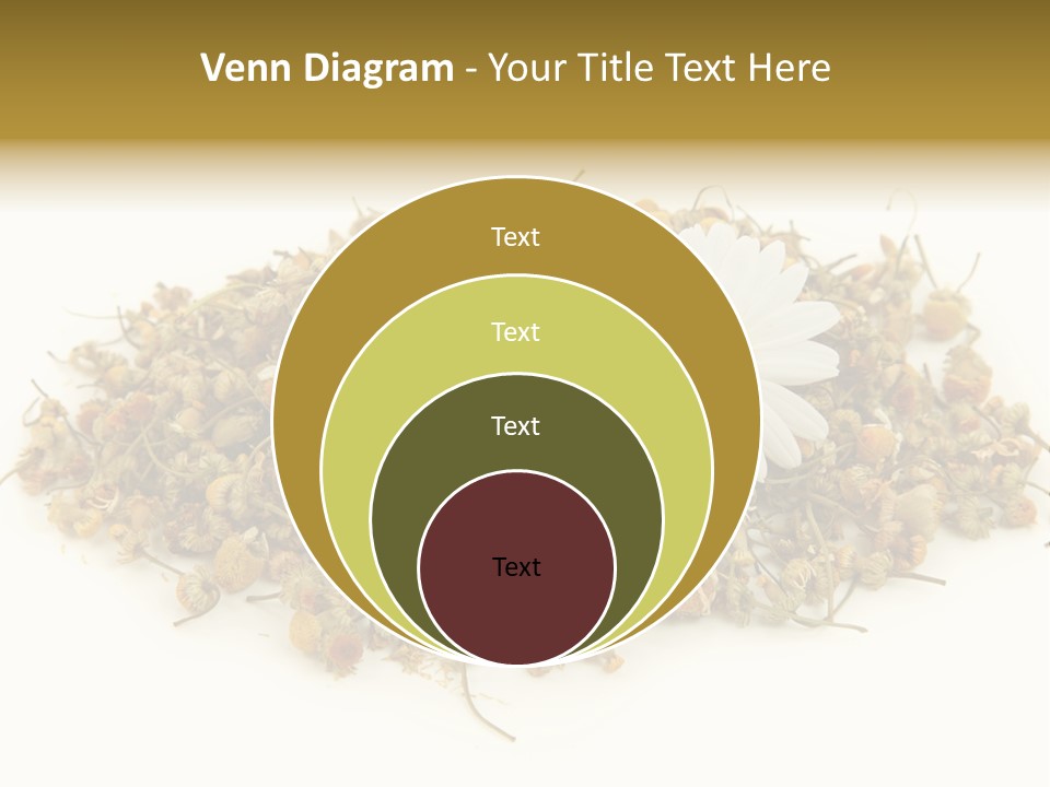 Dried Chamomile Tea Isolated On White Background PowerPoint Template
