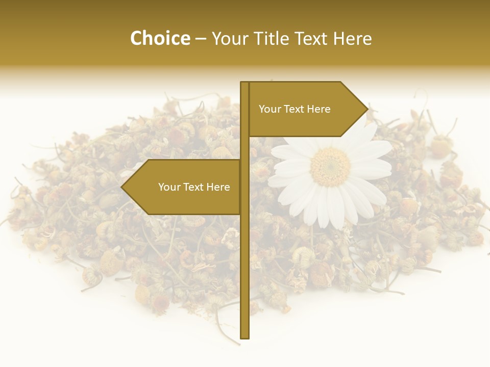 Dried Chamomile Tea Isolated On White Background PowerPoint Template