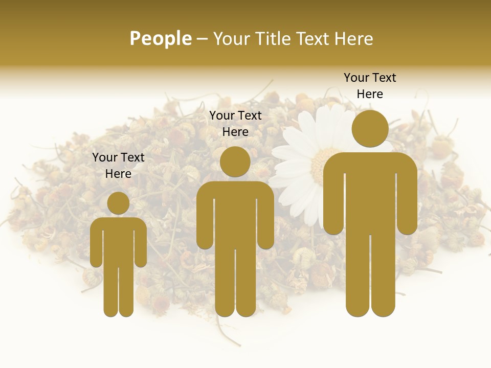 Dried Chamomile Tea Isolated On White Background PowerPoint Template