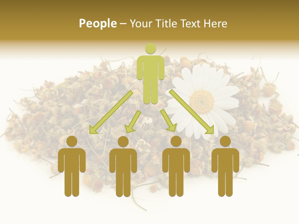 Dried Chamomile Tea Isolated On White Background PowerPoint Template