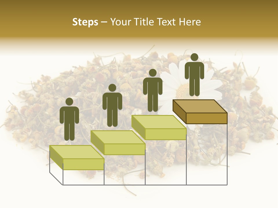 Dried Chamomile Tea Isolated On White Background PowerPoint Template