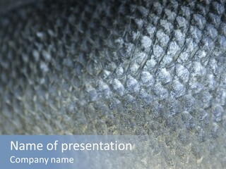 Fish Scales PowerPoint Template