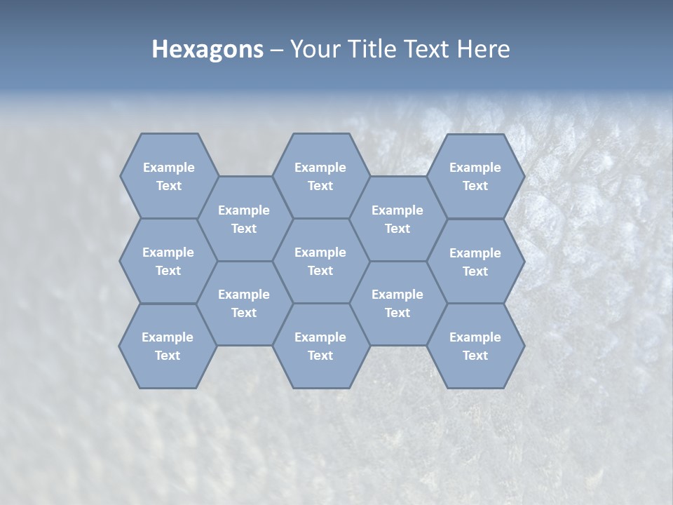 Fish Scales PowerPoint Template