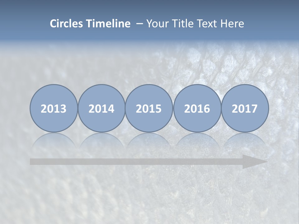 Fish Scales PowerPoint Template