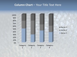 Fish Scales PowerPoint Template