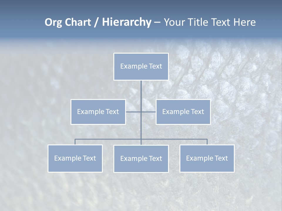 Fish Scales PowerPoint Template