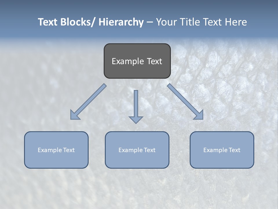 Fish Scales PowerPoint Template