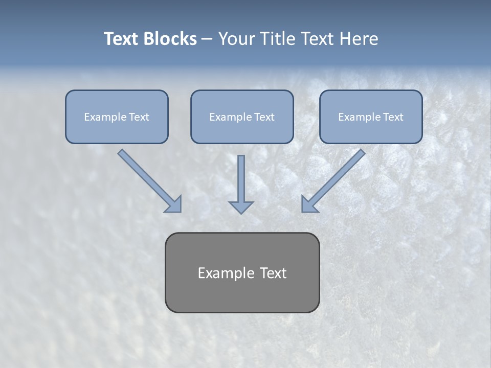 Fish Scales PowerPoint Template