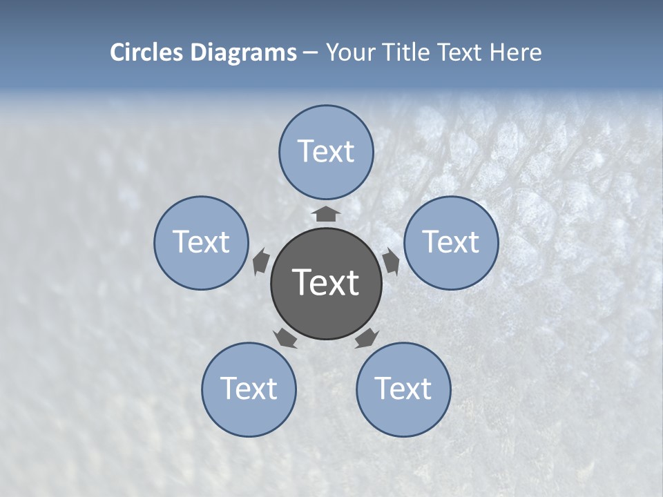 Fish Scales PowerPoint Template