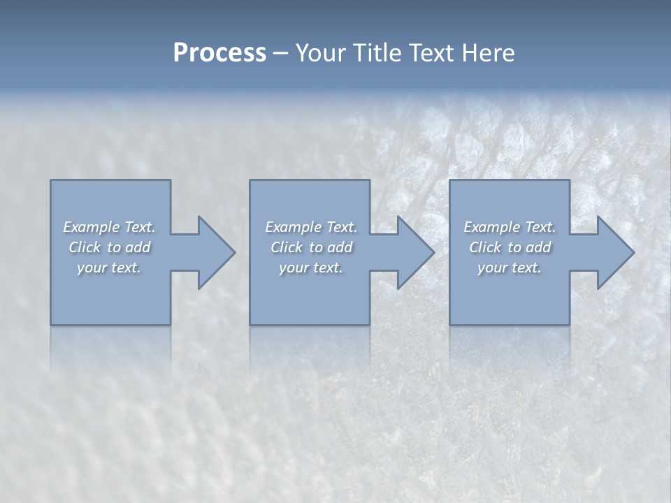 Fish Scales PowerPoint Template