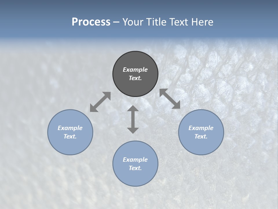Fish Scales PowerPoint Template