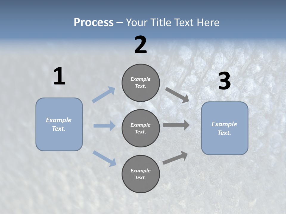 Fish Scales PowerPoint Template