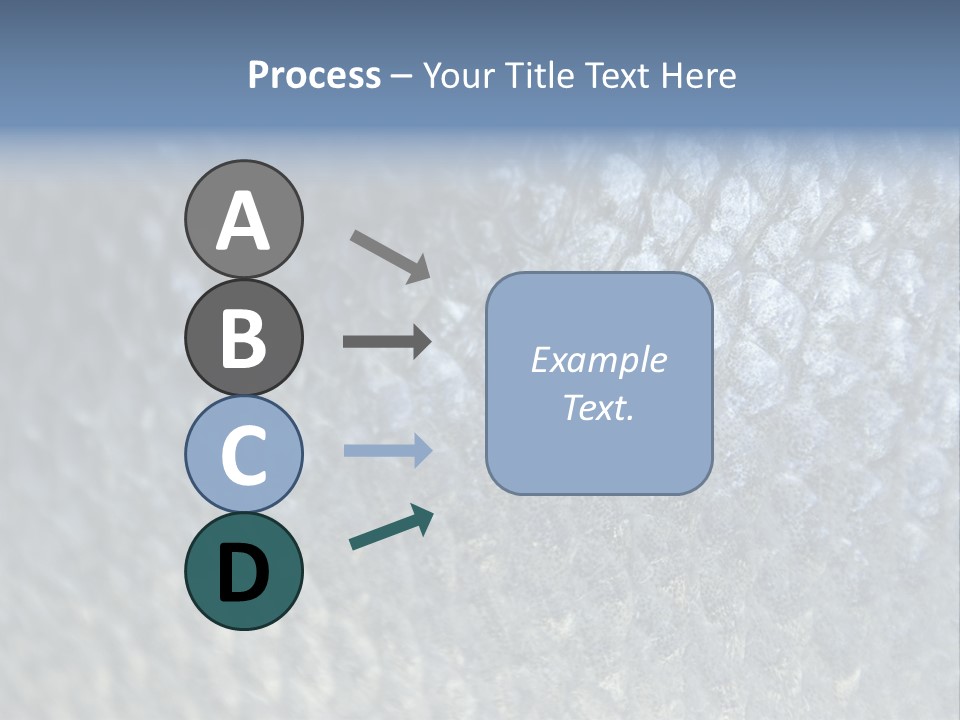 Fish Scales PowerPoint Template