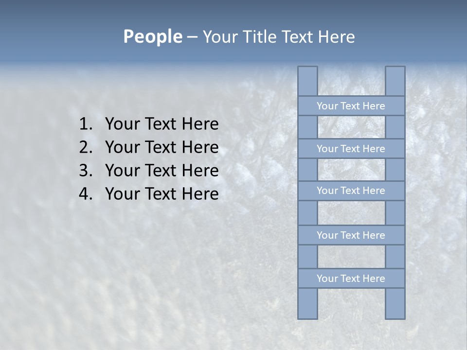 Fish Scales PowerPoint Template