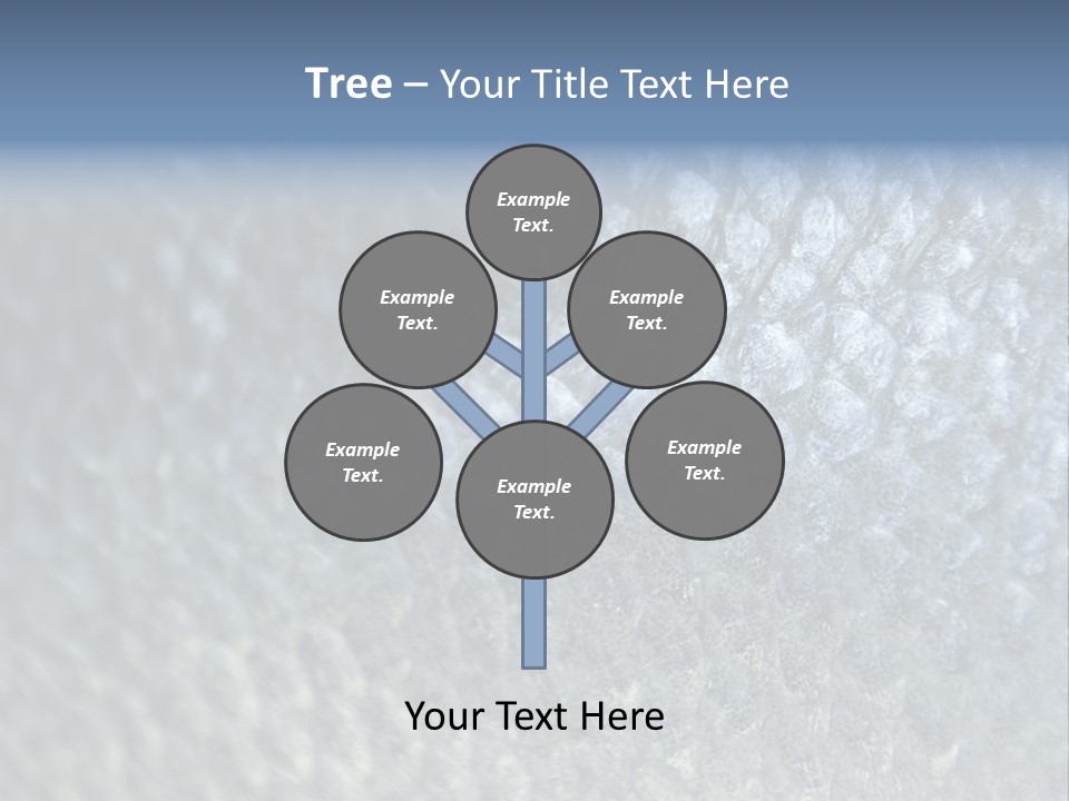 Fish Scales PowerPoint Template