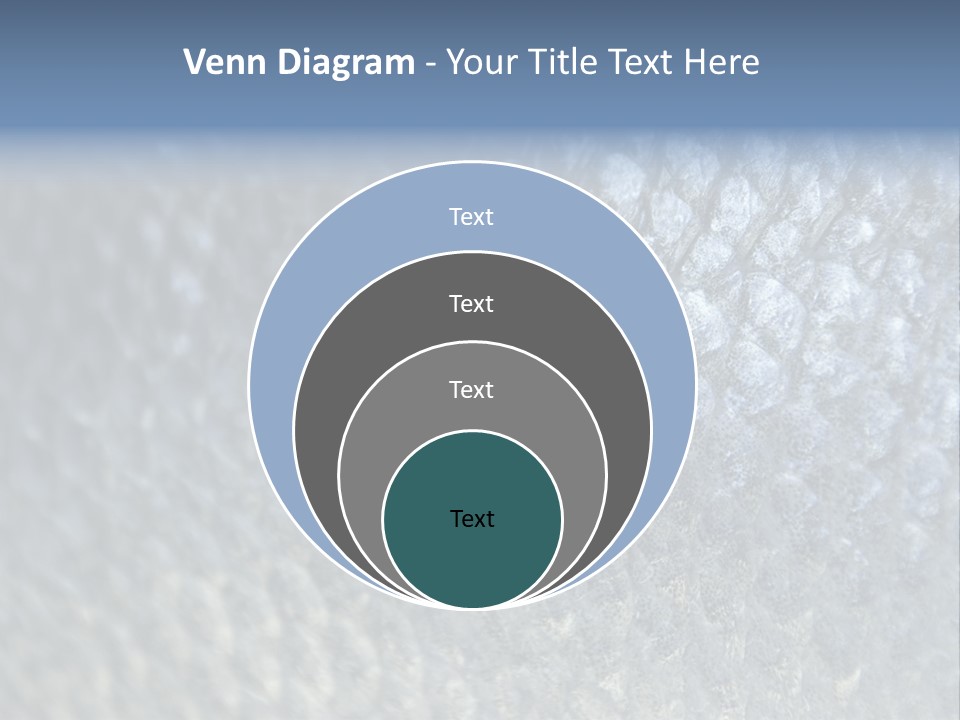 Fish Scales PowerPoint Template