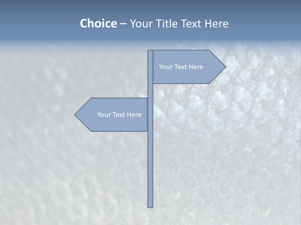 Fish Scales PowerPoint Template