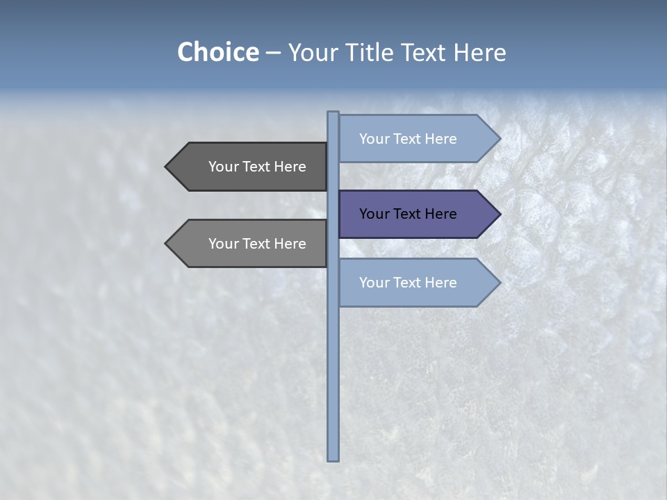 Fish Scales PowerPoint Template