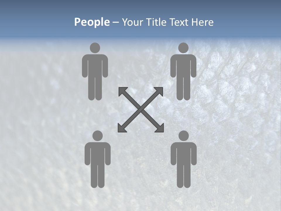 Fish Scales PowerPoint Template