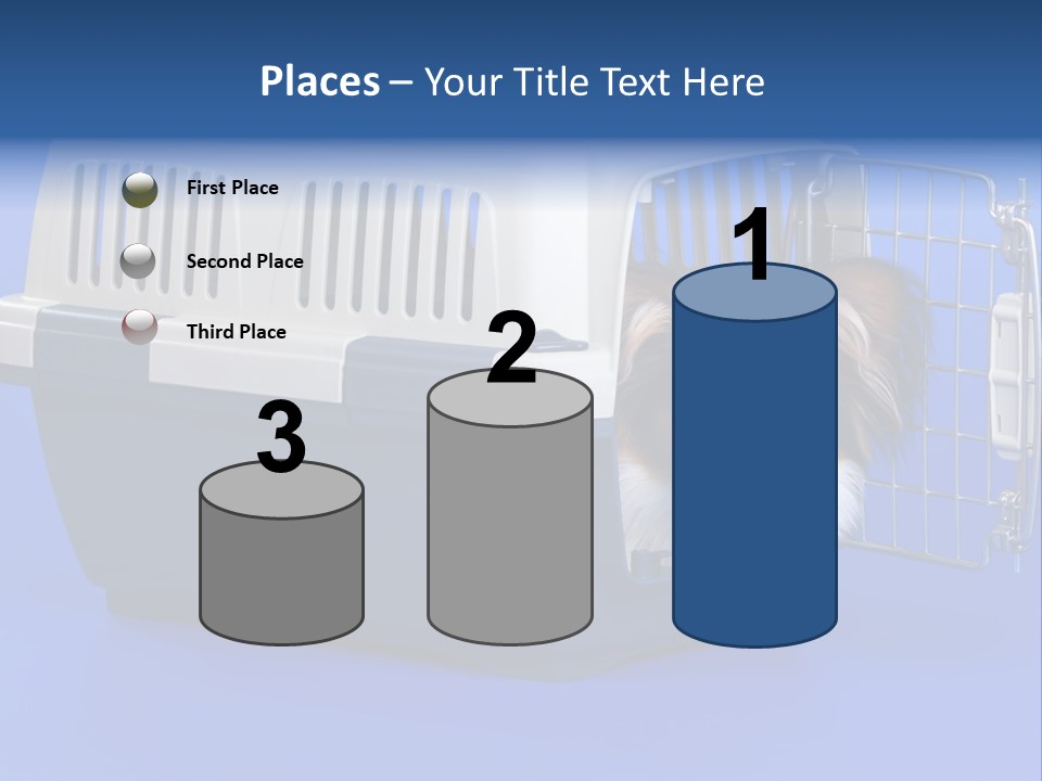 Young Dog Papillon And A Plastic Carrier PowerPoint Template