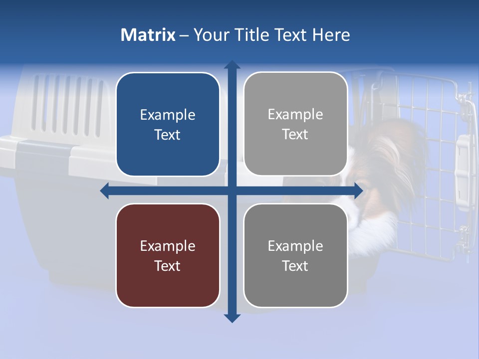 Young Dog Papillon And A Plastic Carrier PowerPoint Template