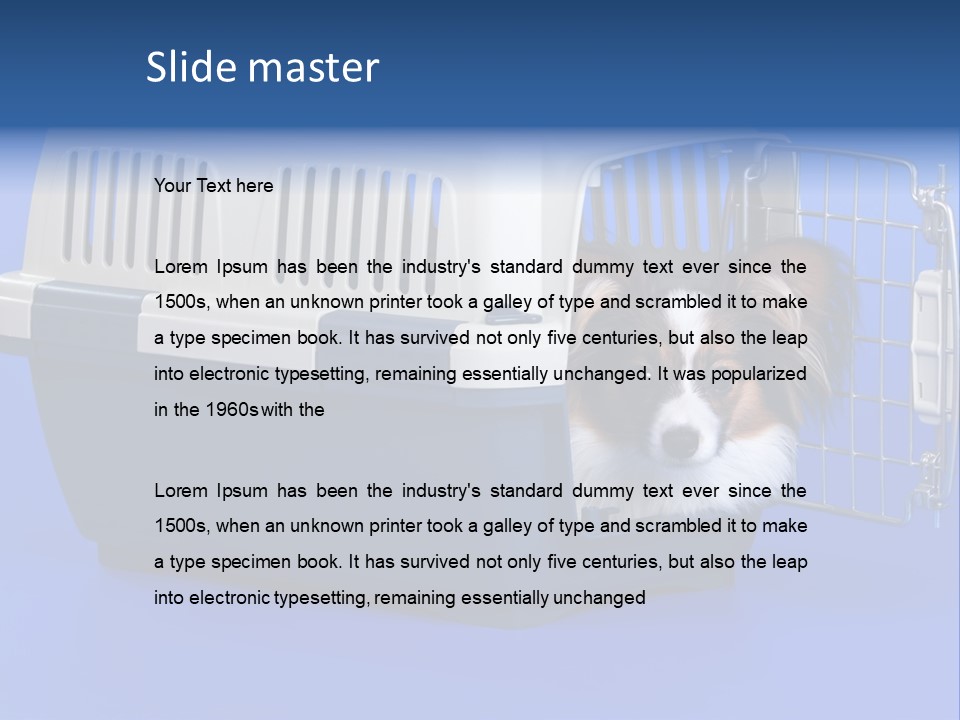 Young Dog Papillon And A Plastic Carrier PowerPoint Template