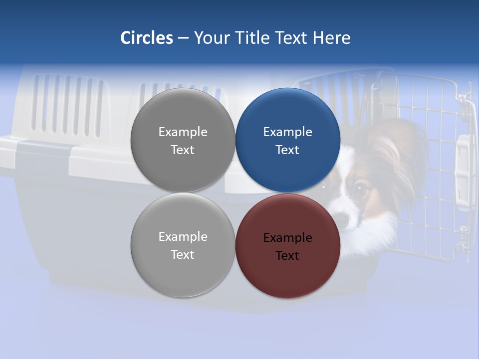 Young Dog Papillon And A Plastic Carrier PowerPoint Template