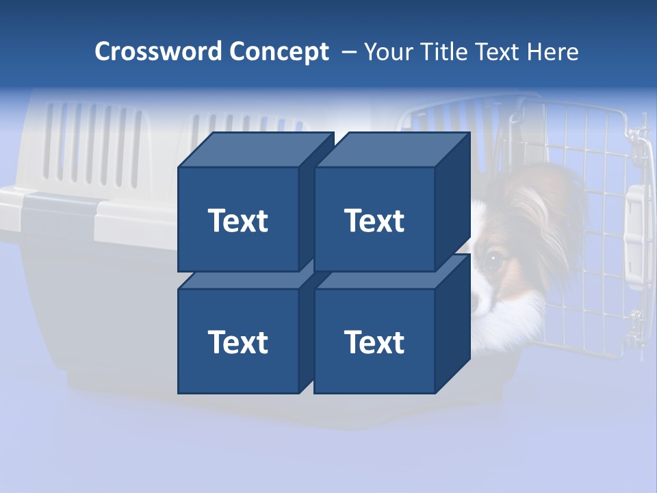 Young Dog Papillon And A Plastic Carrier PowerPoint Template