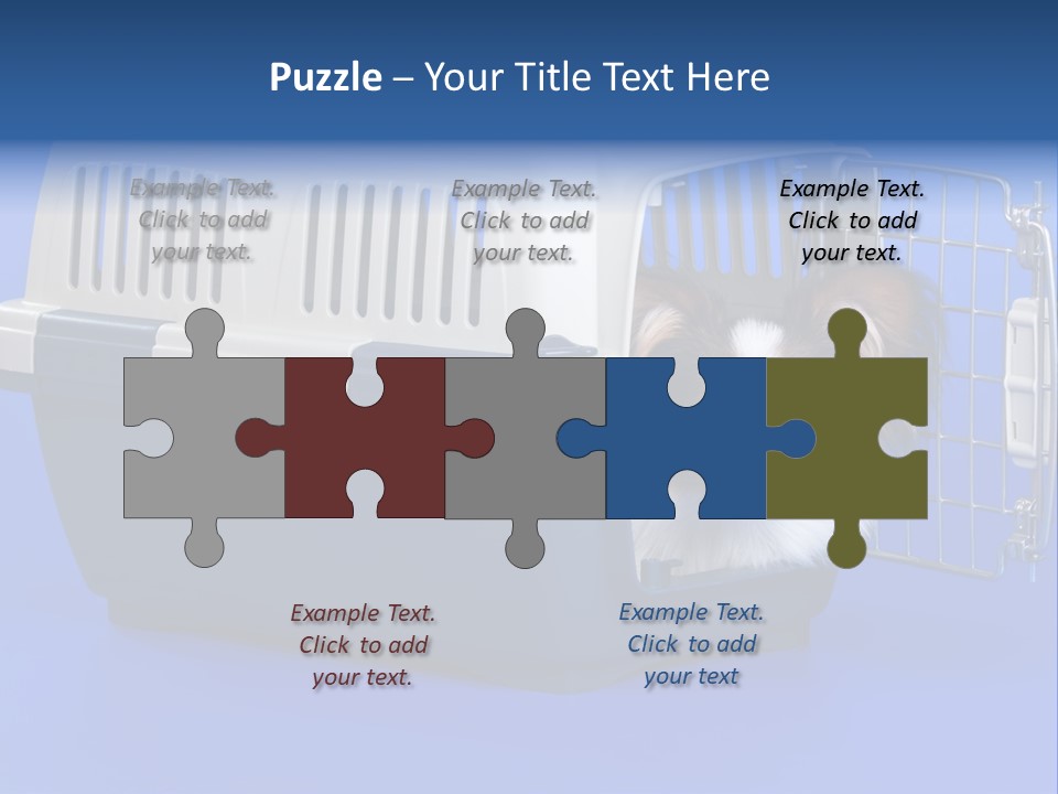 Young Dog Papillon And A Plastic Carrier PowerPoint Template