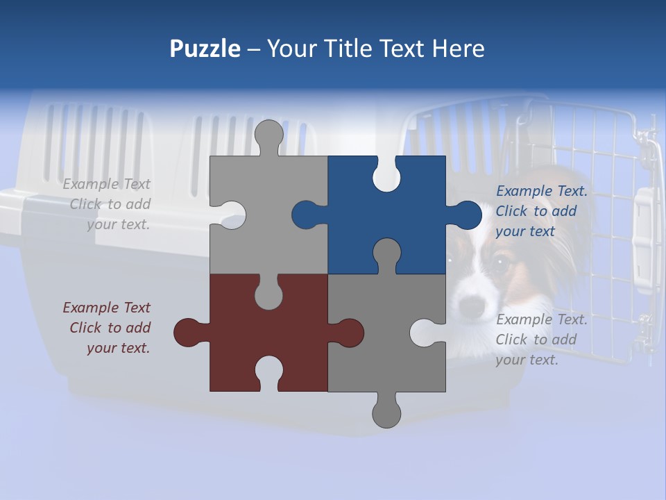 Young Dog Papillon And A Plastic Carrier PowerPoint Template