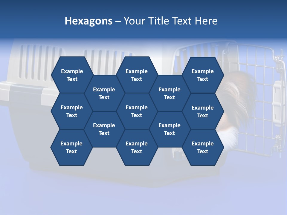 Young Dog Papillon And A Plastic Carrier PowerPoint Template