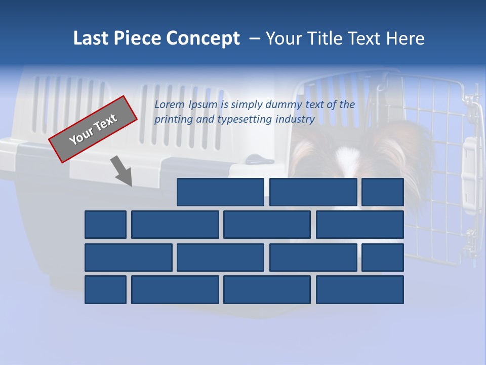 Young Dog Papillon And A Plastic Carrier PowerPoint Template