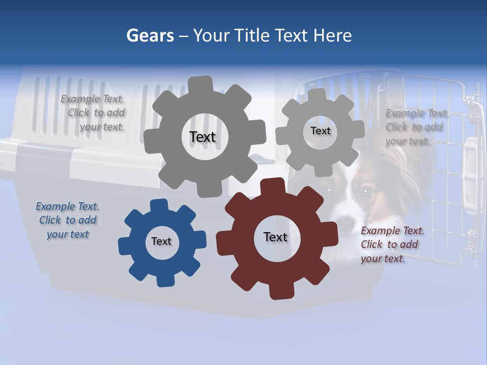 Young Dog Papillon And A Plastic Carrier PowerPoint Template