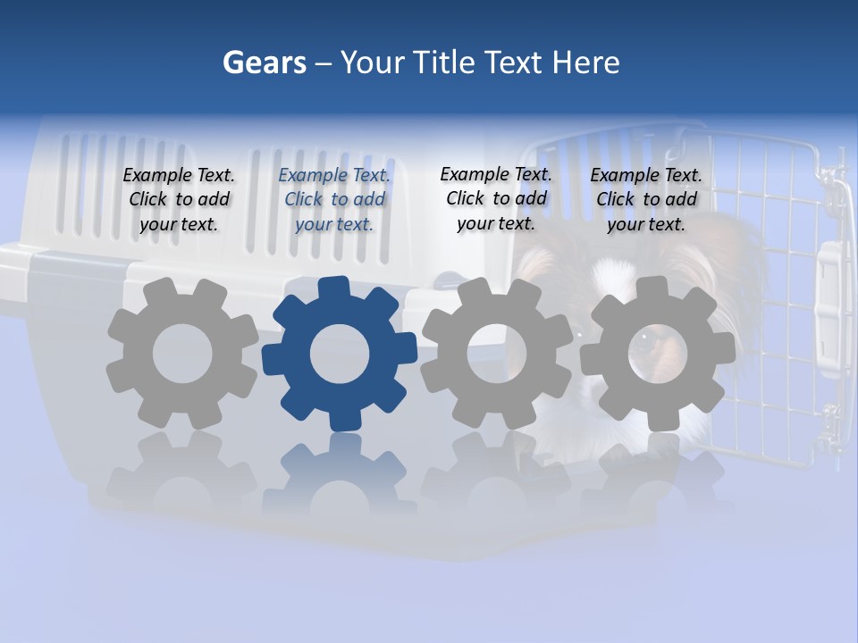 Young Dog Papillon And A Plastic Carrier PowerPoint Template