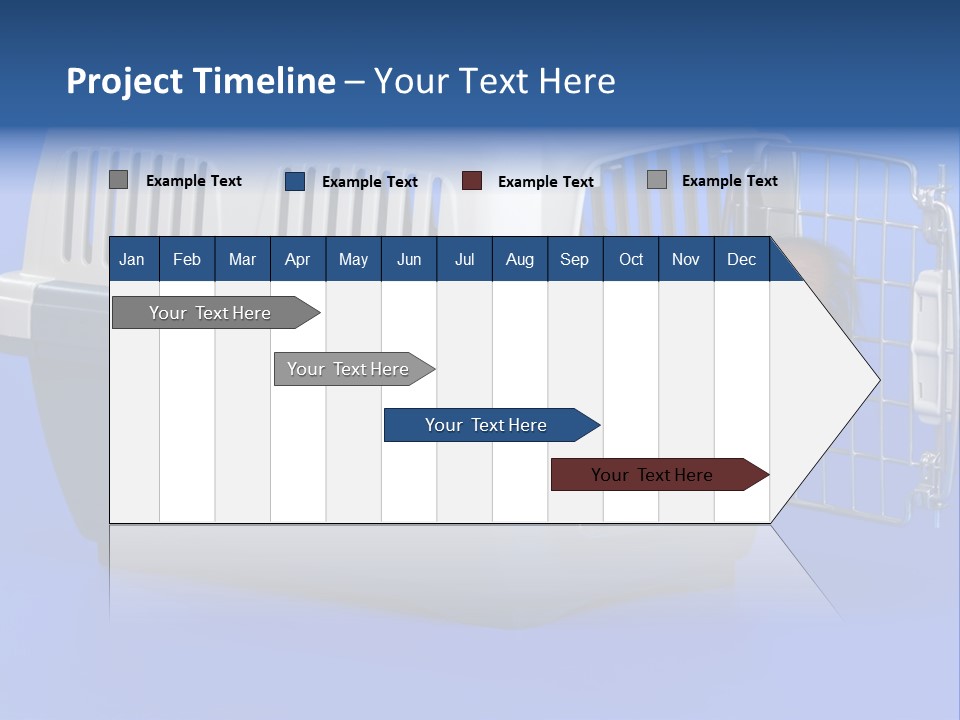 Young Dog Papillon And A Plastic Carrier PowerPoint Template