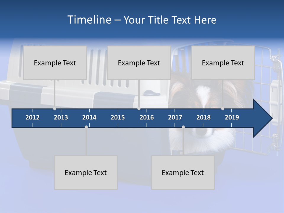 Young Dog Papillon And A Plastic Carrier PowerPoint Template