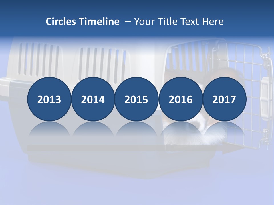 Young Dog Papillon And A Plastic Carrier PowerPoint Template